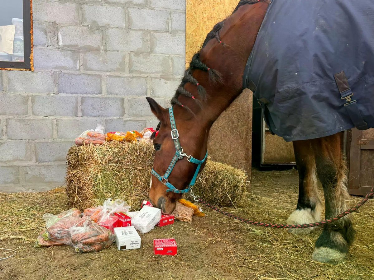 Ученики гимназии «Юнона» и волонтерский отряд «РОСТteam»